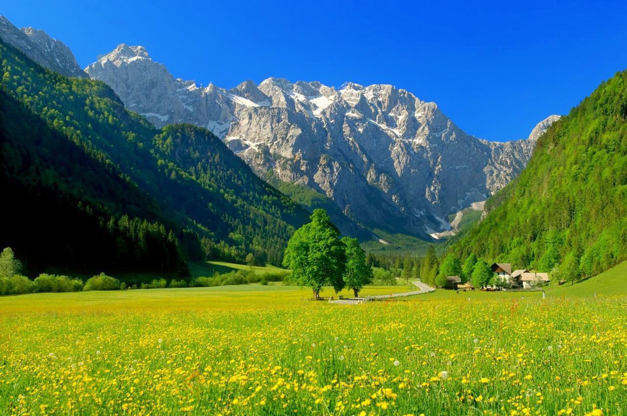 Hotel Planinka Ljubno Bagian luar foto
